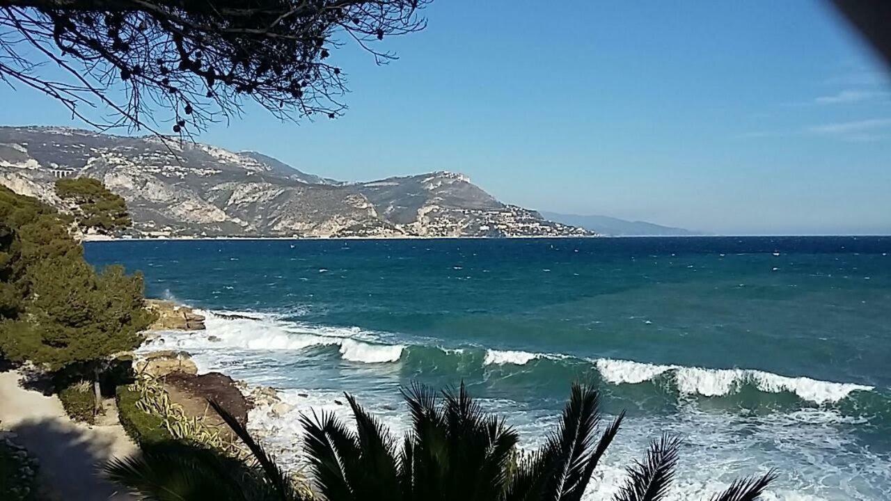 Port * Nice